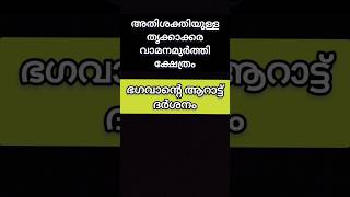 തൃക്കാക്കരയപ്പൻ്റെ ആറാട്ട് astrology thrikkakara [upl. by Atoel]