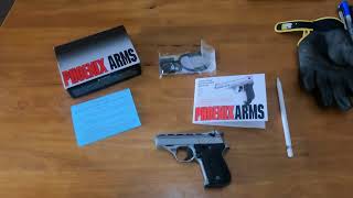 Phoenix Arms HP22A 22lr SemiAutomatic Pistol Review And Shooting Video 2024 [upl. by Iliak750]