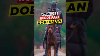 👉😈 Nombres RUDOS para perros Doberman Machos 💪 [upl. by Eetnom]