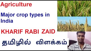 Agriculture Major Crop types in India Kharif Rabi and Zaid crops explained in Tamil [upl. by Cloris]