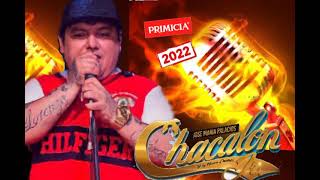 chacalon jr  Acariciame  primicia 2022 [upl. by Ahseihs]