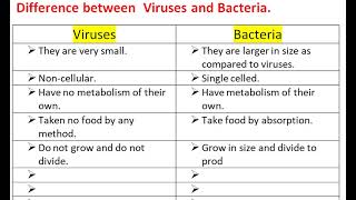 Difference between Bacteria and Virus [upl. by Vikki152]