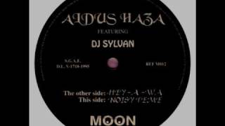 Aldus Haza Feat DJ Sylvan  Noisy Teme 1995 [upl. by Haggar]