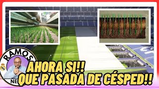 EL REAL MADRID HA DADO CON LA TECLA 🌱🌱 [upl. by Borer]