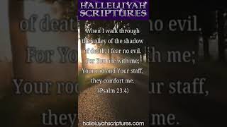 Psalm 23  I Am Holding Your Hand [upl. by Cari]