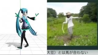 Hatsune Miku Ievan Polkka Dance Comparison [upl. by Means]