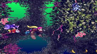 Donkey Kong Country 3 Part 17 Fish Food Frenzy [upl. by Idok]