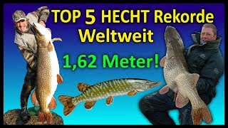 Top 5 Rekord HECHTE WELTWEIT  162 Meter Hecht [upl. by Hillari793]