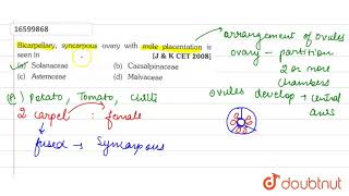 Bicarpellary syncarpous ovary with axile placentation is seen in [upl. by Thgiwd]