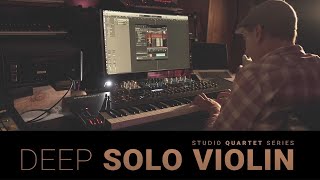 8Dio Studio Quartet  Studio Violin  Live Legato Demo [upl. by Arlyn732]