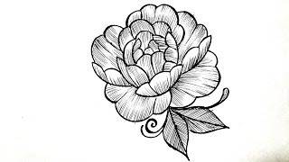 How To Draw A Peony Flower  Flower Drawing Tutorial [upl. by Margot]