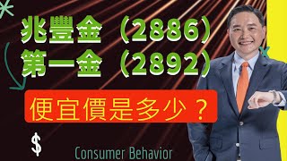 壽險股能買嗎？兆豐金2886第一金2892便宜價是多少？ [upl. by Kristoffer]