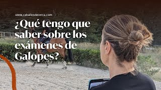 🐎Sonido de caballos Relinchando y Galopando  Sonidos para Relajarse Meditar Estudiar [upl. by Deer]