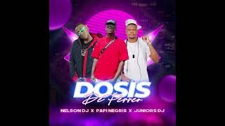 DOSIS DE PERREO  PAPI NEGRIS  NELSON DJ  JUNIOR DJ [upl. by Rudolf]