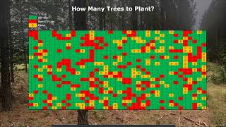 Trees Per Acre [upl. by Ives534]