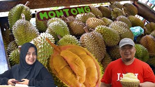 BERBURU DURIAN RUNTUH di KEBUN DUREN BROMO [upl. by Lillywhite]