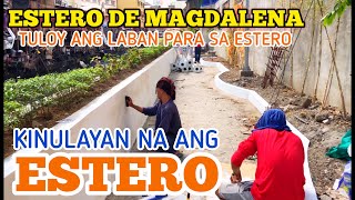 ESTERO DE MAGDALENA NAGBABAGONG KULAY NA [upl. by Nnylimaj]