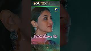 Shiddat  Lyrical Ost  Shorts sahiralibagga MuneebButt AnmolBaloch [upl. by Loleta]