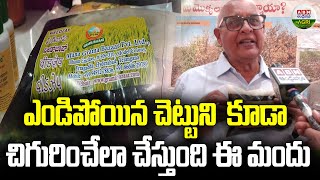 రసాయనాలకి గుడ్ బై చెప్పే ద్రావణం  Solution To Avoid Chemical fertilizers  ABN Agri [upl. by Keegan]