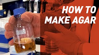 How to make Agar  Singer Instruments [upl. by Yaron]