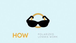 How Polarized Lenses Work [upl. by Gassman]