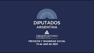 Inés Halm en COMISIÓN SOBRE PREVISIÓN Y SEGURIDAD SOCIAL  10 de abril de 2024  Diputados Argentina [upl. by Odraode]