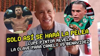 Lupe Pintor REVELA QUE SE TIENE QUE HACER para que Canelo y Benavidez se enfrenten [upl. by Neram]