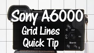 Sony A6000 and A6300 Quick Tip  Grid Lines [upl. by Eenram]