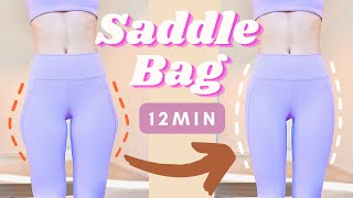 12min Saddle Bag  Hip Dips  🔥Outer Thighs amp Fuller Hips [upl. by Natam]