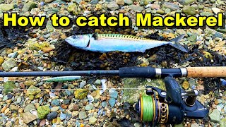 How To Catch MACKEREL Like a Pro on the shore 2024  Catch N Cook DIY fish smoker [upl. by Enniroc]