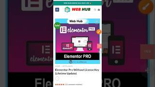 Elementor Pro Buy Only Rs 199  Elementor Pro Latest Version Download [upl. by Nnylaj]