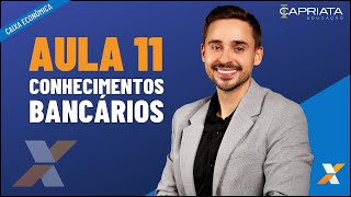 Aula 11  Mercado financeiro e seus desdobramentos monetário crédito capitais e cambial  CEF [upl. by Seroka]