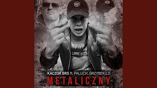 Metaliczny feat Paluch Grzybek LD [upl. by Hardy]