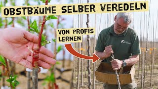 Obstbäumen selbst veredeln und alte Obstsorten erhalten  Profi zeigt verschiedene Veredelungen [upl. by Kilah781]