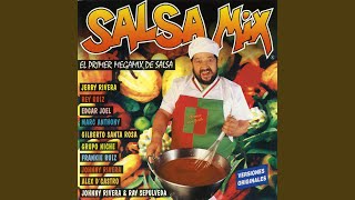 Salsa Mix Continuous Mix [upl. by Zannini]