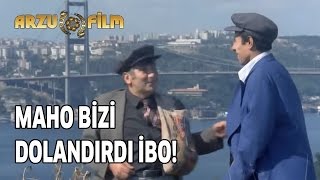 Maho Bizi Dolandırdı İbo  Banker Bilo [upl. by Ayocal39]