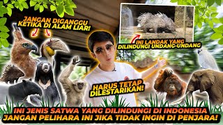 DAFTAR SATWA LIAR DILINDUNGI YANG ADA DI KEBUN BINATANG  WAJIB NONTON BIAR PAHAM [upl. by Noitsirhc]