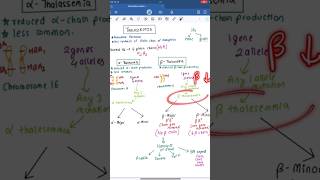 THALASSEMIA Kya Hai 🩸✅️  AlphaBetaMinorMajor  shortsdoctor [upl. by Auliffe88]