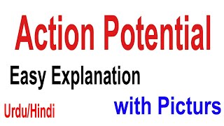 What is Action Potential  Action Potential Definition  Action Potential in Neuron  UrduHindi [upl. by Guildroy]