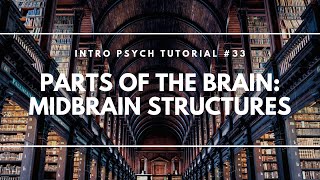 Parts of the Brain Midbrain Structures Intro Psych Tutorial 33 [upl. by Knutson]