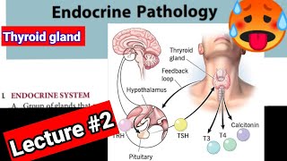 🔴 ENDOCRINOLOGY PATHOLOGY LECTURES 2 Thyroidgland hyperthyroidism hypothyroidism [upl. by Perl]