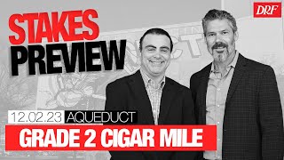 Grade 2 Cigar Mile Preview  December 2 2023 [upl. by Llerraf260]