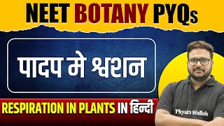 RESPIRATION IN PLANTS  Important PYQs  Hindi Medium  NEET  पादप मे श्वशन [upl. by Justinn]