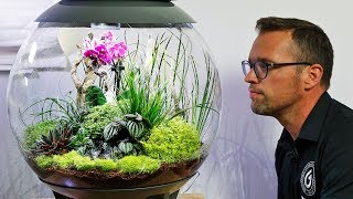 biOrb AIR 60  Full Step by Step Tutorial Terrarium Scape [upl. by Maidel]