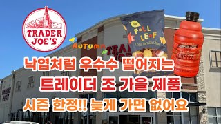 🇺🇸 미국 트레이더조 Trader Joe’s 가을 제품 시즌 한정 늦게 가면 없어요 🛒🏃‍♀️ [upl. by Kosiur458]