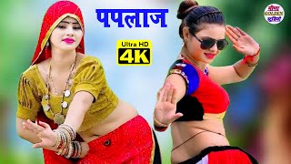 पपलाज माता पैदल पैदल आगी थारे । Paplaj Mata New Dj Yatra Song । पपलाज माता का सुपरहिट मीणा गीत Remix [upl. by Nibbs540]