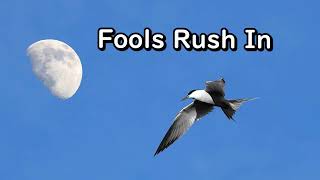 only fools rush inElvis Presleylyrics [upl. by Weidman]