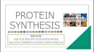 PROTEIN SYNTHESIS  AQA GCSE Biology amp Combined Sciences  Biology with Gracie [upl. by Nnaillek]