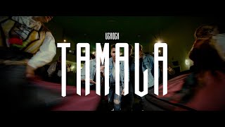 VZROCK  Tamala official video [upl. by Sehguh]