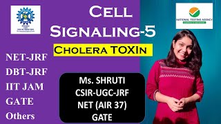 Cholera Toxin Signaling Pathway  Signaling Inactivation  CSIRUGCJRF  DBT JRF  IIT JAM  GATE [upl. by Bourke762]